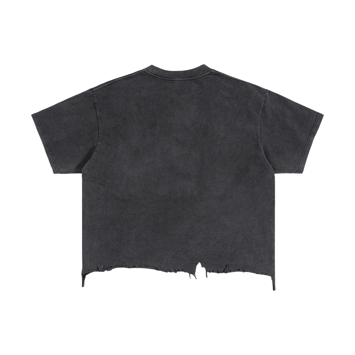 R and E Edition ripped tee